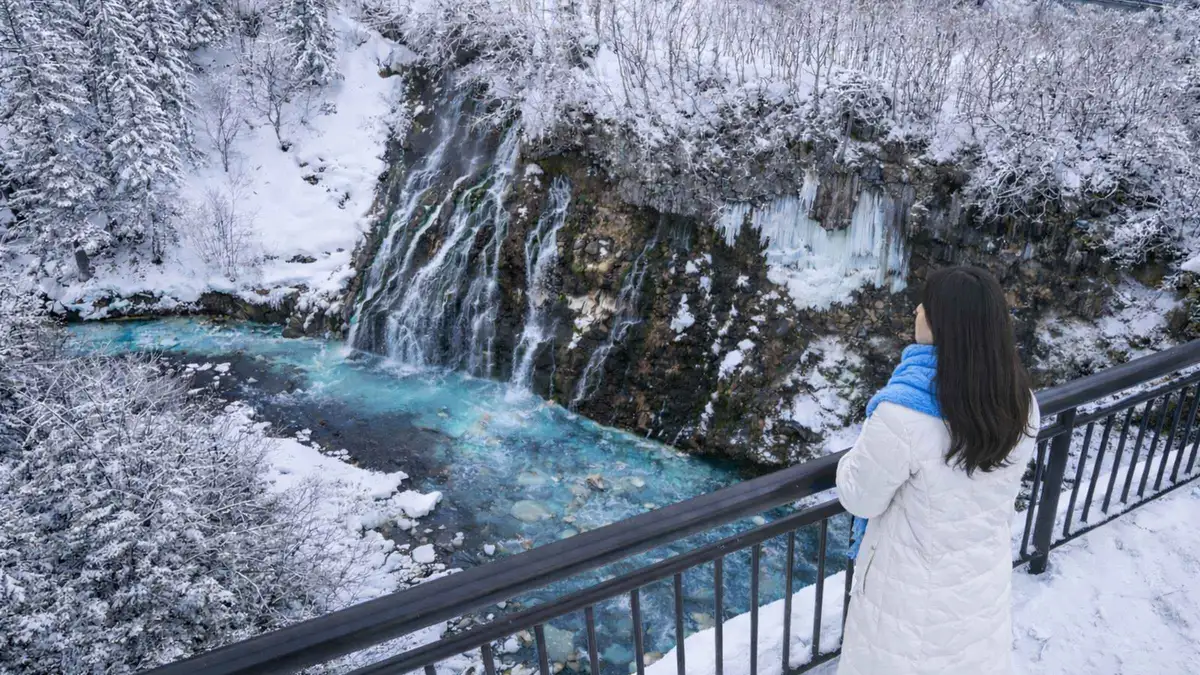 Cobalt water and bare larch trunks at Shirogane Blue Pond in Biei, a stop on Hokkaido tours from Sapporo, Japan